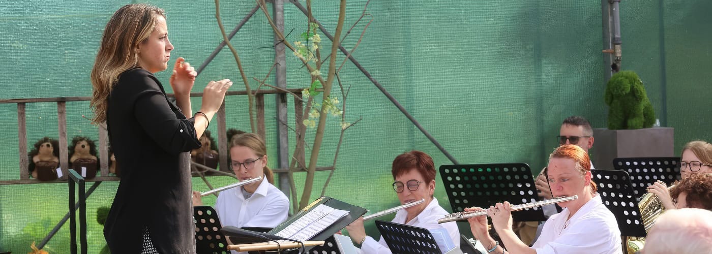 De harmonie in actie.